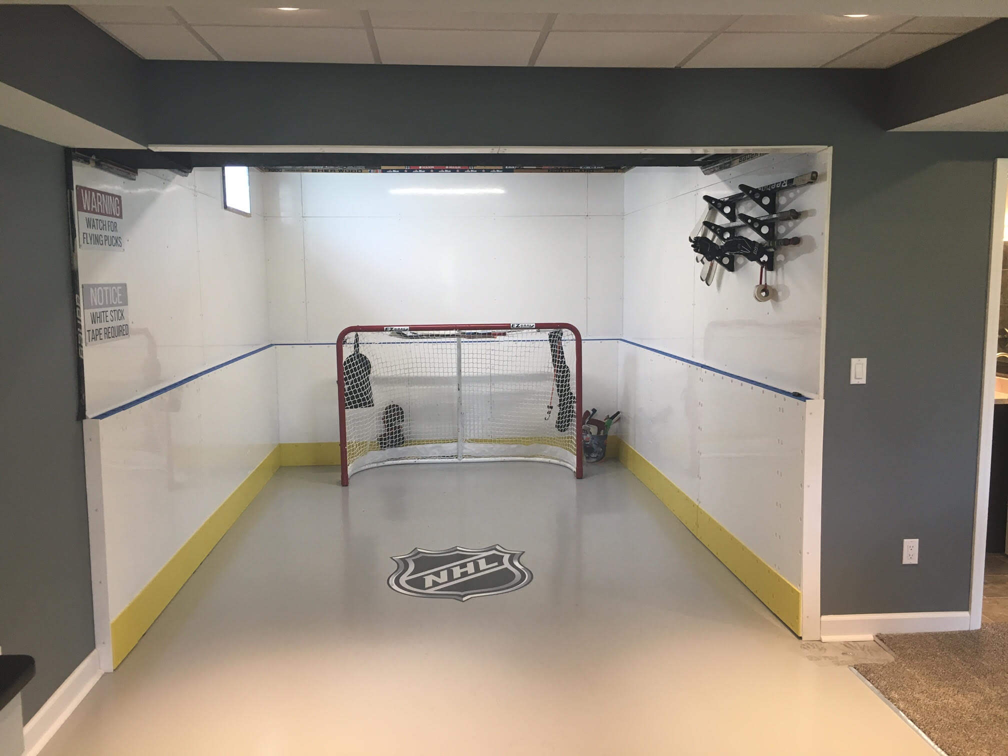 Basement Hockey Rink - Brownstown, MI