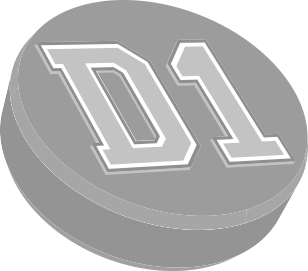 D1 Backyard Rinks Logo D1 Backyard Rinks Logo